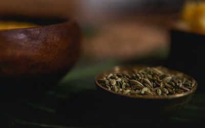 Food Combining (Viruddha Ahara)